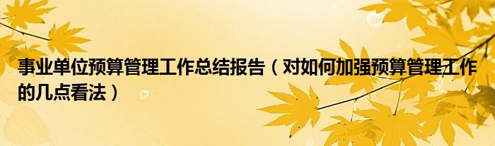 事业单位预算管理工作总结报告（对如何加强预算管理工作的几点看法）