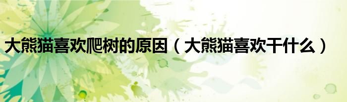 大熊猫喜欢爬树的原因（大熊猫喜欢干什么）