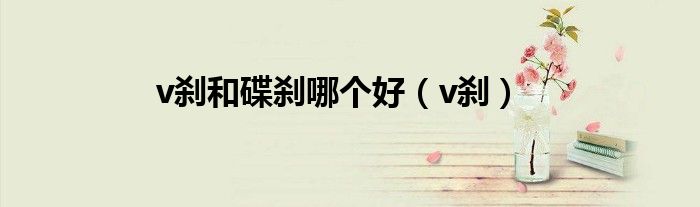v刹和碟刹哪个好（v刹）