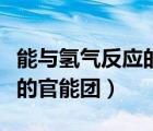 能与氢气反应的官能团或物质（能与氢气反应的官能团）