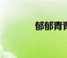 郁郁青青下一句（郁郁青青）
