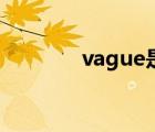 vague是什么意思（vague）