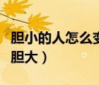 胆小的人怎么变胆大去赚钱（胆小的人怎么变胆大）