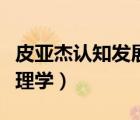 皮亚杰认知发展四阶段及特点（皮亚杰儿童心理学）
