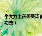 牛大力土茯苓煲汤有什么功效（牛大力煲土茯苓骨头有什么功效）