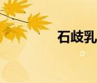 石歧乳鸽介绍（石歧乳鸽）