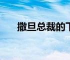 撒旦总裁的下堂妻（撒旦总裁的诱惑）