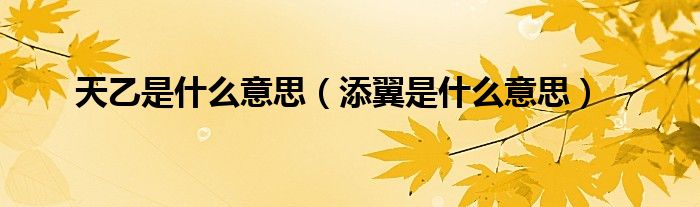 天乙是什么意思（添翼是什么意思）