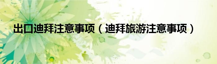 出口迪拜注意事项（迪拜旅游注意事项）