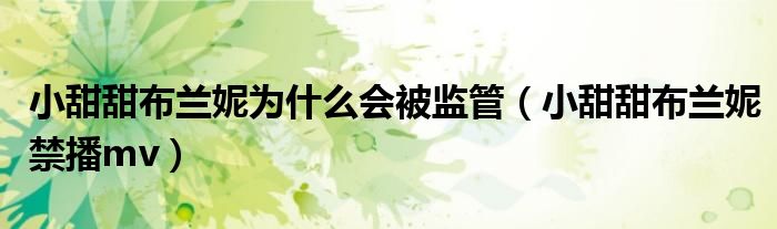小甜甜布兰妮为什么会被监管（小甜甜布兰妮禁播mv）