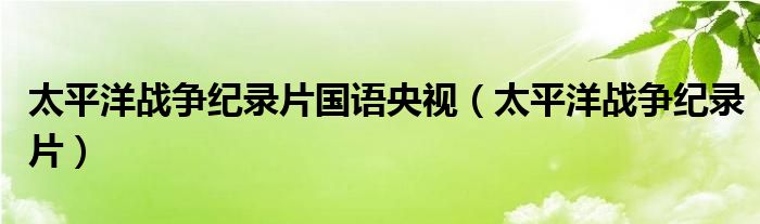 太平洋战争纪录片国语央视（太平洋战争纪录片）