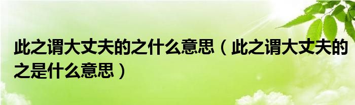 此之谓大丈夫的之什么意思（此之谓大丈夫的之是什么意思）