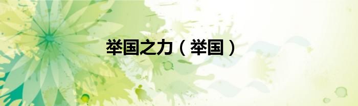 举国之力（举国）