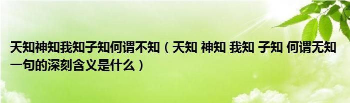 天知神知我知子知何谓不知（天知 神知 我知 子知 何谓无知 一句的深刻含义是什么）