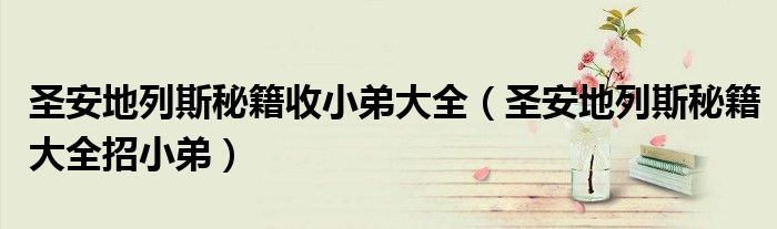 圣安地列斯秘籍收小弟大全（圣安地列斯秘籍大全招小弟）