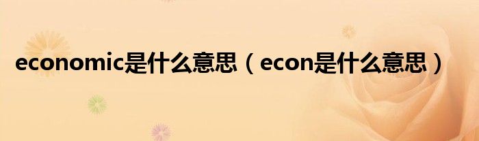 economic是什么意思（econ是什么意思）