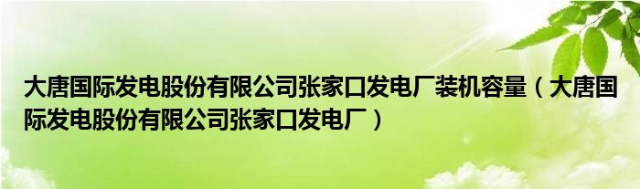 大唐国际发电股份有限公司张家口发电厂装机容量（大唐国际发电股份有限公司张家口发电厂）