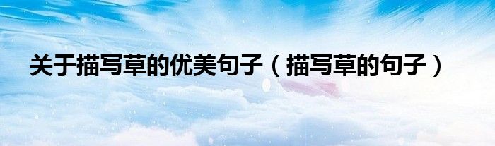 关于描写草的优美句子（描写草的句子）