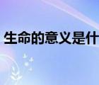 生命的意义是什么英文（生命的意义是什么）