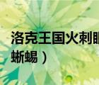 洛克王国火刺眼蜥蜴怎么得（洛克王国火刺眼蜥蜴）