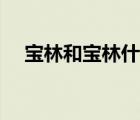 宝林和宝林什么区别（宝林是什么位分）