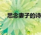 思念妻子的诗句句子（思念妻子的诗句）