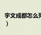 宇文成都怎么死的在哪一集（宇文成都怎么死）