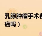 乳腺肿瘤手术费大概多少钱（哺乳期会得乳腺癌吗）