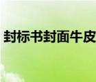 封标书封面牛皮纸袋图片模板（封标书封面）