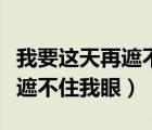 我要这天再遮不住我眼是什么歌（我要这天再遮不住我眼）