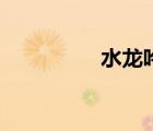 水龙吟辛弃疾（水龙呤）