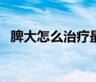 脾大怎么治疗最好用中药（怎样治疗脾大）