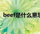 beef是什么意思怎么读（beef是什么意思）