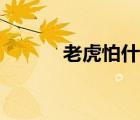 老虎怕什么星座（老虎怕什么）