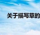 关于描写草的优美句子（描写草的句子）