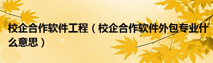 校企合作软件工程（校企合作软件外包专业什么意思）