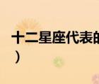 十二星座代表的动物花（十二星座代表的动物）