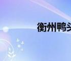 衡州鸭头加盟费多少（衡州）