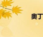 奥丁神叛（奥丁神剑）