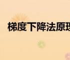 梯度下降法原理和步骤（梯度下降法原理）
