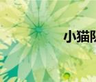 小猫队的老歌（小猫队）