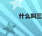 什么叫三季报（什么是三季报）