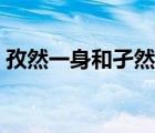 孜然一身和孑然一身（孑然一身是什么意思）