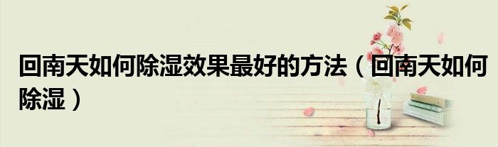 回南天如何除湿效果最好的方法（回南天如何除湿）