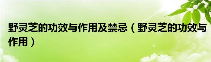 野灵芝的功效与作用及禁忌（野灵芝的功效与作用）