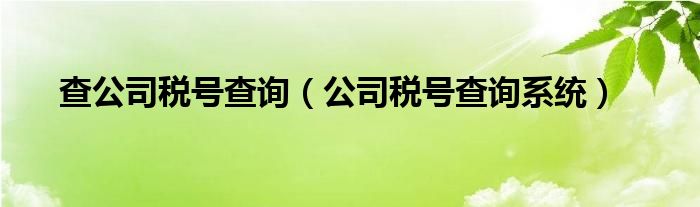 查公司税号查询（公司税号查询系统）