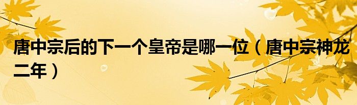 唐中宗后的下一个皇帝是哪一位（唐中宗神龙二年）