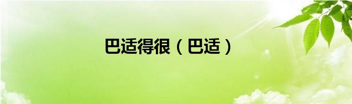 巴适得很（巴适）