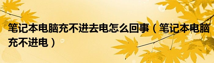 笔记本电脑充不进去电怎么回事（笔记本电脑充不进电）