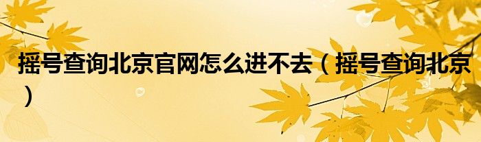 摇号查询北京官网怎么进不去（摇号查询北京）